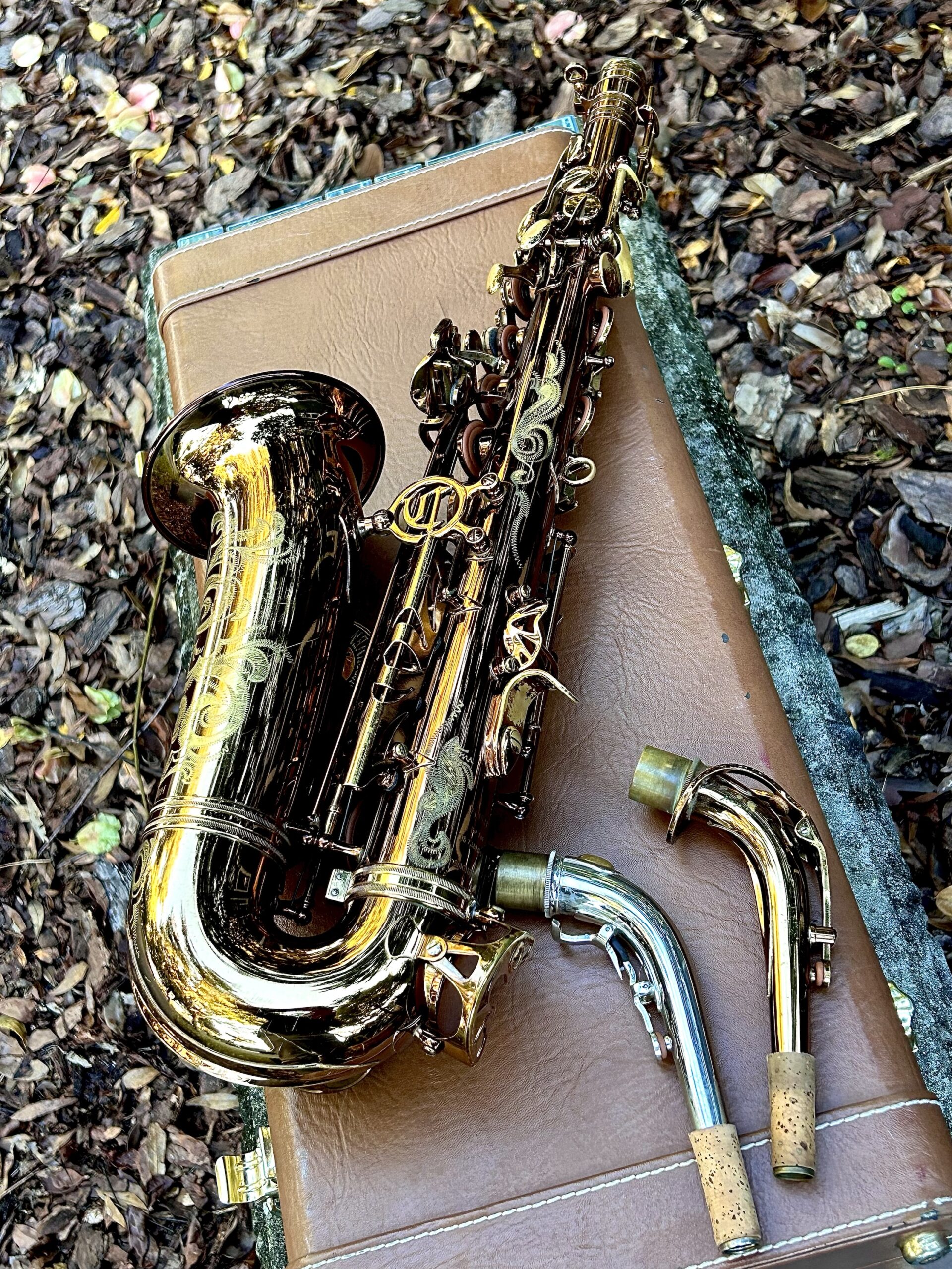 Cannonball Vintage Reborn Alto Saxophone - Serial #V148417 - Excellent Player, Used Condition - Image 7